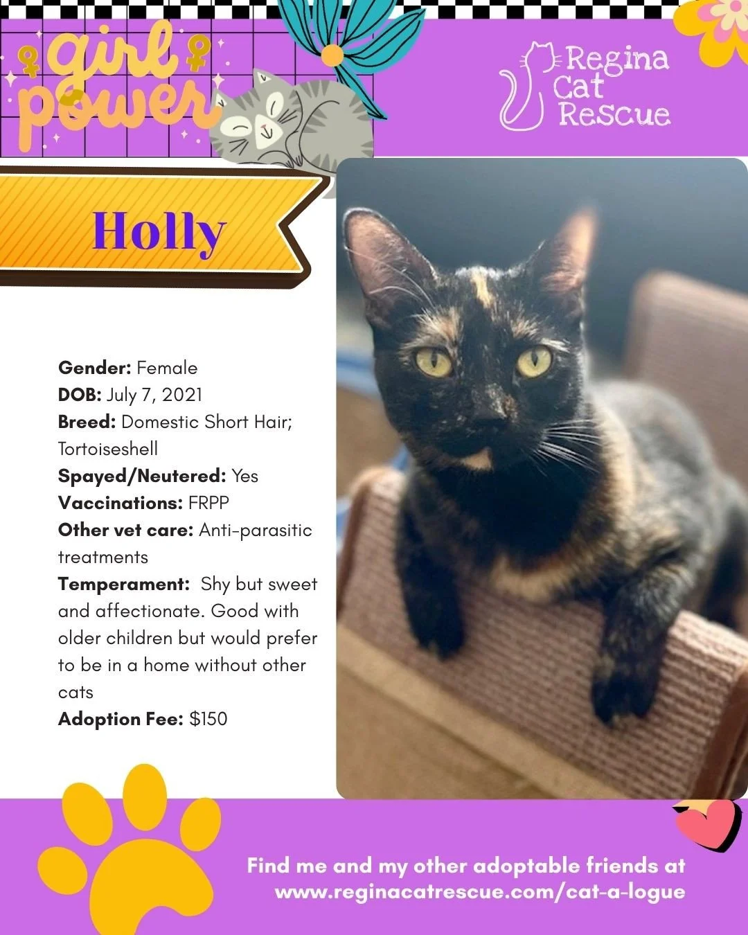 March is the month to celebrate strong, resilient, history making women, and at Regina Cat Rescue, we are celebrating some powerful ladies of our own. 🐾✨ ⁠
From fearless mamas who raised their kittens on the streets to independent queens who rule th