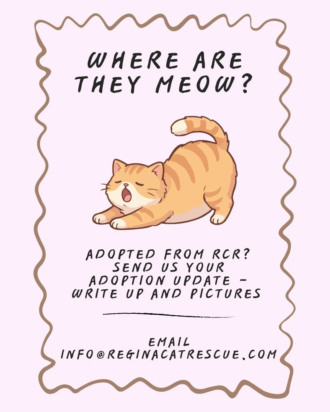 Where Are They Meow? 😻⁠
⁠
Regina Cat Rescue wants to hear from you - past adopters! ⁠
How was your experience? Do you have pictures and an update you can share with us to feature on our "Where Are They Meow?" updates?⁠
⁠
Send us an email! 