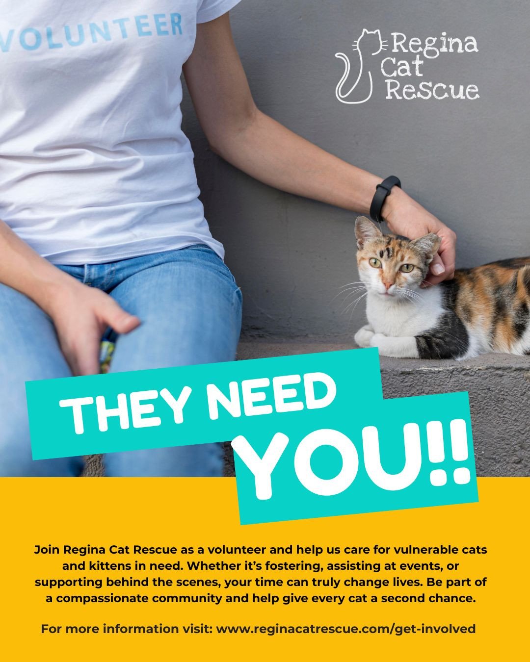Join our team and make a difference! 🐾 Volunteer with RCR to help animals, build skills, and be part of a caring community. Explore roles from fostering to leadership&mdash;find your perfect fit today!⁠
⁠
See available roles at reginacatrescue.com/g