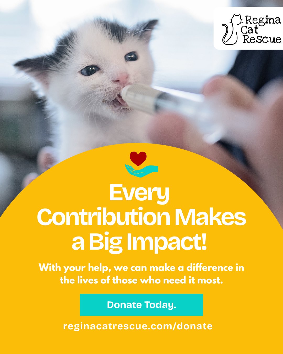 Kitten season is upon us and we suspect it will hit us hard, as we start to feel the impacts already. 🐾💔⁠
⁠
Every day, more tiny lives are coming through the doors at Regina Cat Rescue, with us rescuing over 300 kittens and moms in 2025 and prepari