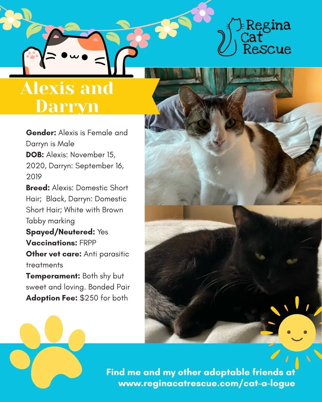 🌷🐣 Hoppy April! 🐣🌷⁠
⁠
Spring is in the air, the snow is melting, and love is blooming at Regina Cat Rescue! 💛 Just like Easter eggs, some of the sweetest surprises are waiting to be discovered, and ours happen to have whiskers, toe beans, and th