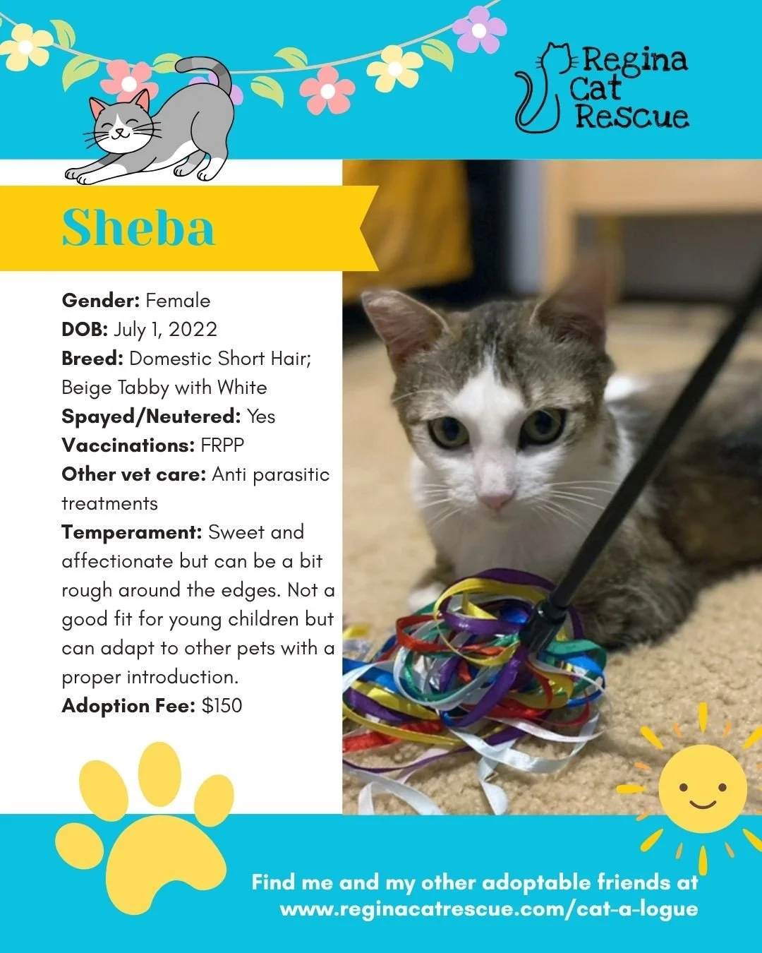 🌷🐣 Hoppy April! 🐣🌷⁠
⁠
Spring is in the air, the snow is melting, and love is blooming at Regina Cat Rescue! 💛 Just like Easter eggs, some of the sweetest surprises are waiting to be discovered, and ours happen to have whiskers, toe beans, and th