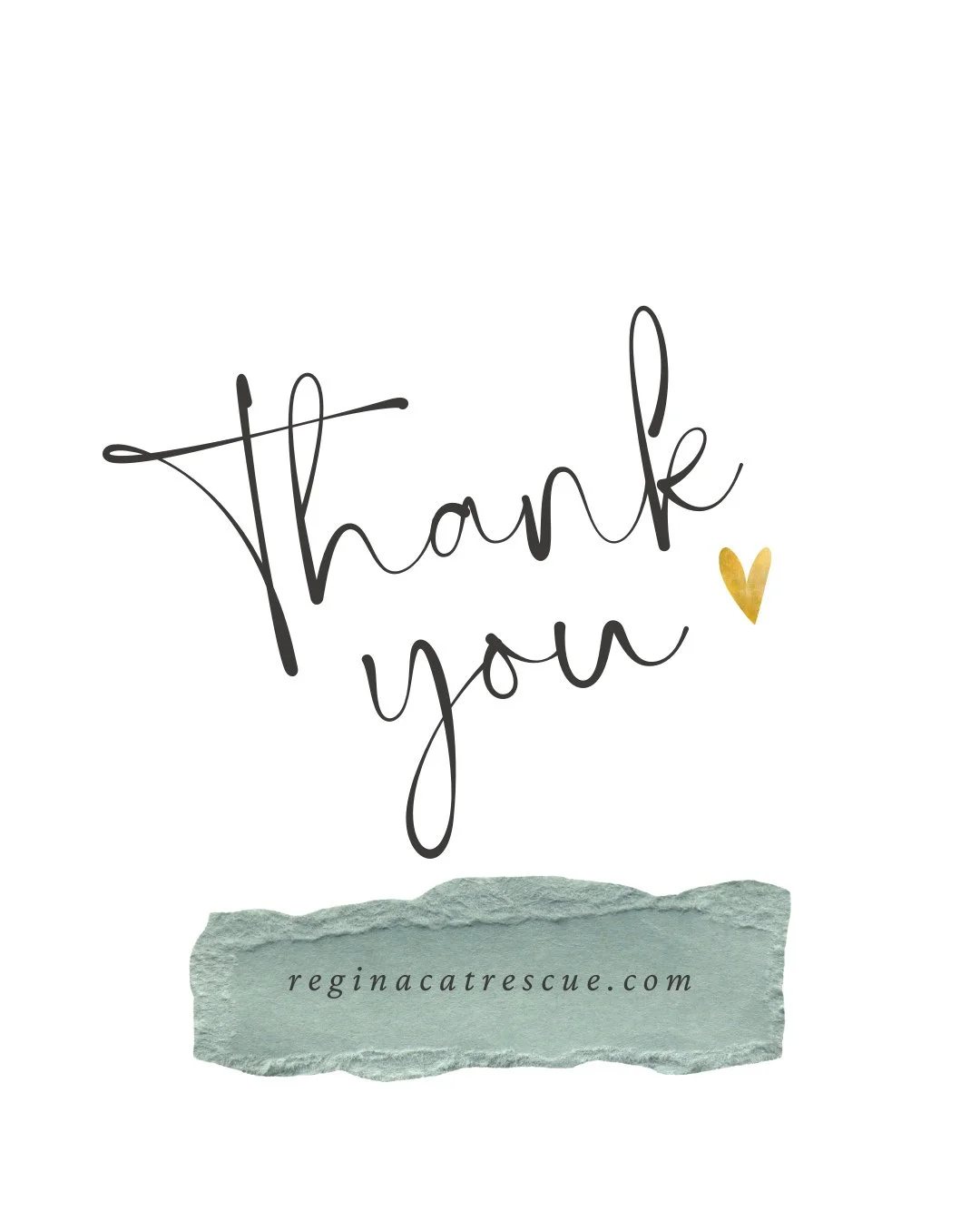 When community comes together, it makes a big difference. ✨️⁠
⁠
Regina Cat Rescue is extending a big thank you to Young's Memorial for this generous donation - swipe to see a portion of the donation - which will go a long way in supporting RCR cats i