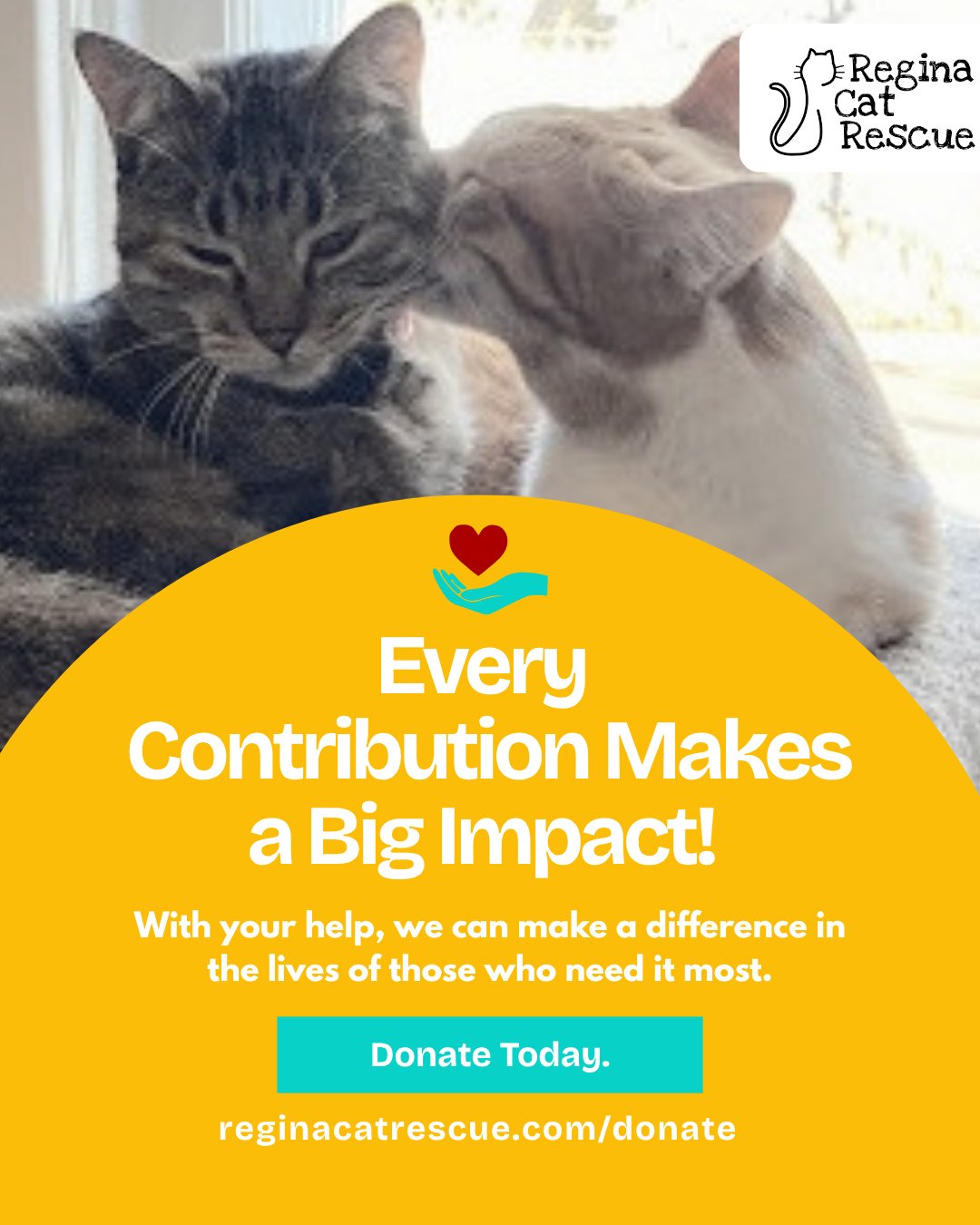 📣 Have you heard the news? We've transitioned to Zeffy, a platform that ensures you receive a tax receipt automatically. Regardless of your donation amount, you&rsquo;ll receive your receipt promptly after your contribution is processed.⁠
⁠
✨️ With 