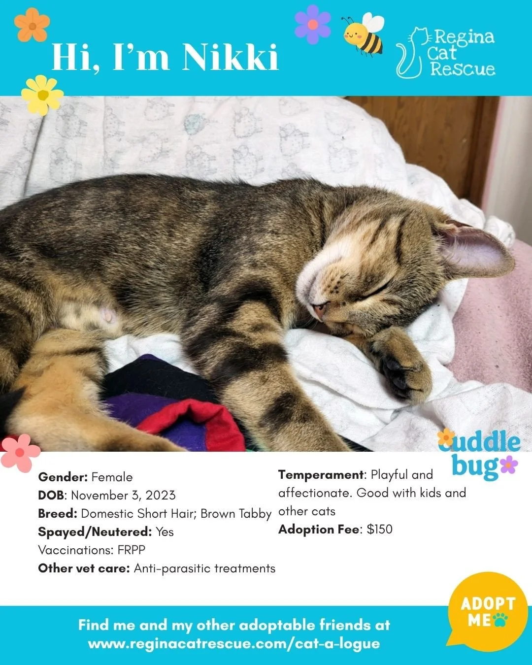 🌸🐾 Spring has sprung! 🐾🌸⁠
⁠
As the days get longer and the sunshine returns, it&rsquo;s the purr-fect time for a fresh start, and adopting one of our adorable cats at Regina Cat Rescue could provide just that and a forever home. From playful kitt