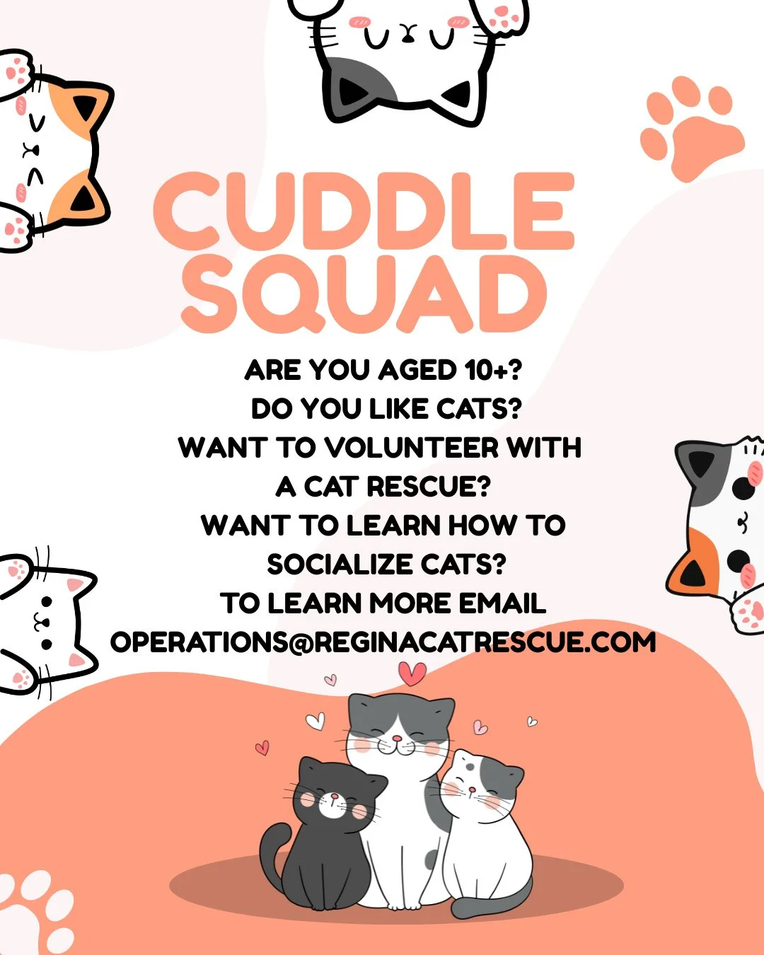 🐾 Join the Cuddle Squad! 🐾⁠
⁠
Love cats? Want to make a difference while getting endless purrs and snuggles in return? 💕 Our Cuddle Squad helps socialize, comfort, and spend quality time with the cats in our care while they wait for their forever 