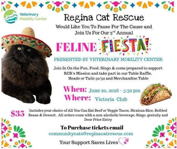 Get ready to paw-ty for a purpose 🐾🎉⁠
⁠
Presented by Veterinary Mobility Center and Regina Cat Rescue, join us for our 3rd Annual Feline Fiesta...⁠
⁠
A night full of fun, community, and all things cats! 🐱⁠
⁠
By grabbing your ticket, you&rsquo;re n