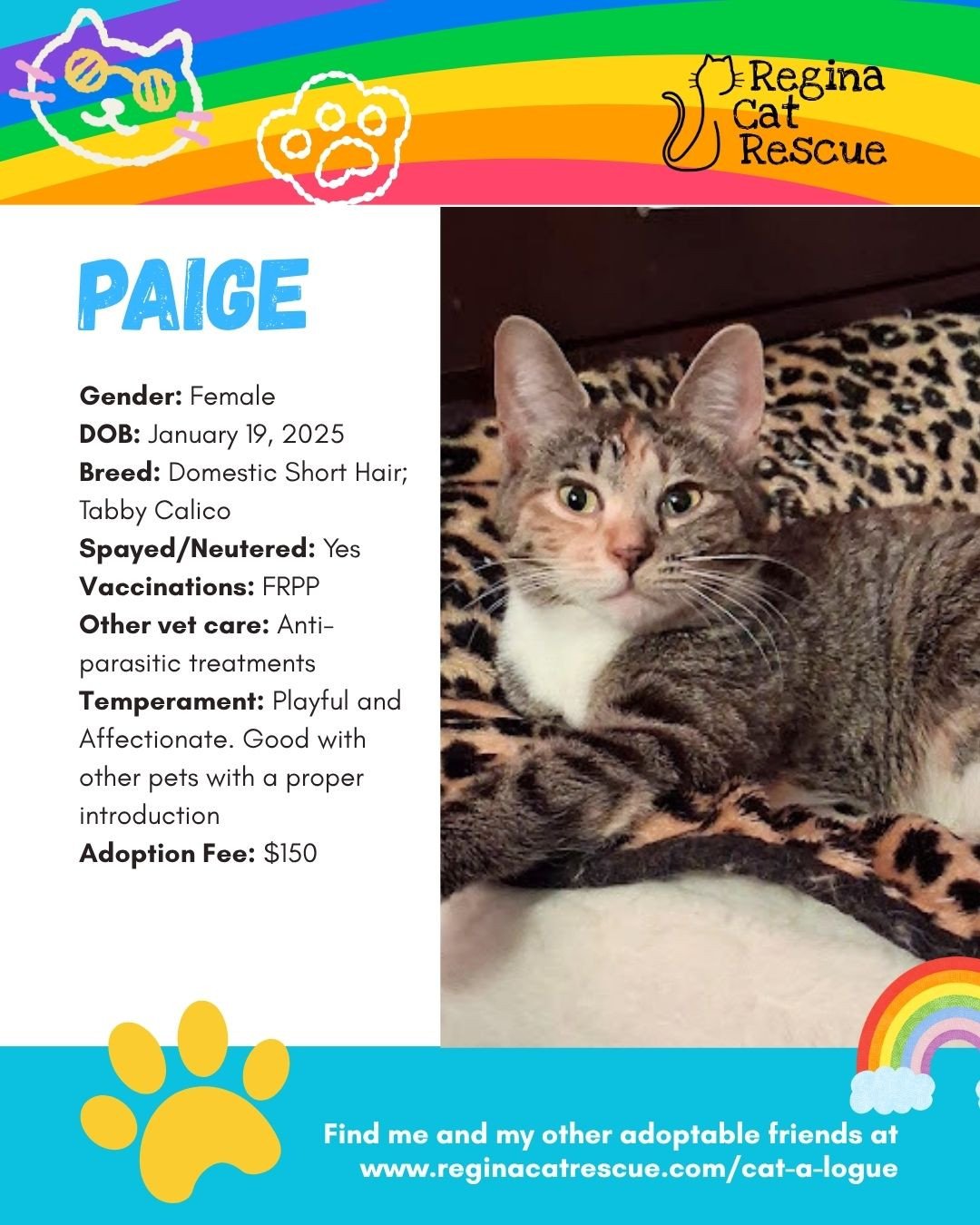 "🌈 Love comes in every colour,  and so do our cats! 🐾⁠
⁠
This June, we&rsquo;re celebrating Pride Month by honouring love, individuality, and the joy of being exactly who you are. At Regina Cat Rescue, every cat deserves a safe home where they