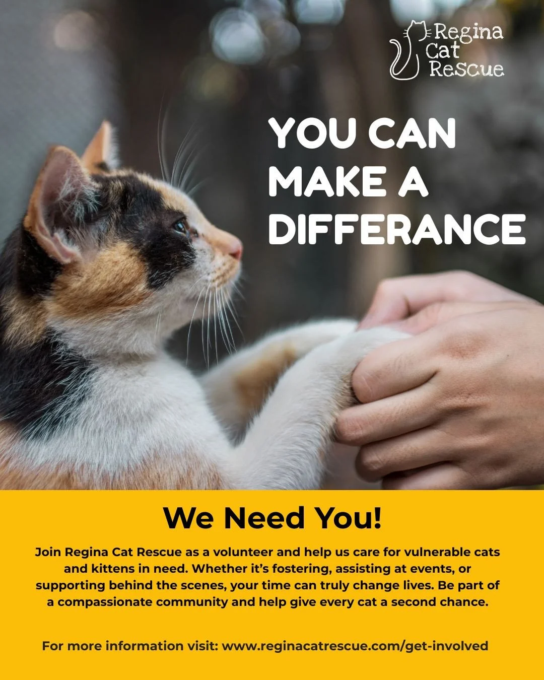 Every cat deserves a chance to feel safe, loved, and cared for, and you can help make that happen. 🐾💛⁠
⁠
Whether you have a few hours to spare each month or you're looking for a more hands-on role, Regina Cat Rescue has a place for you. From foster