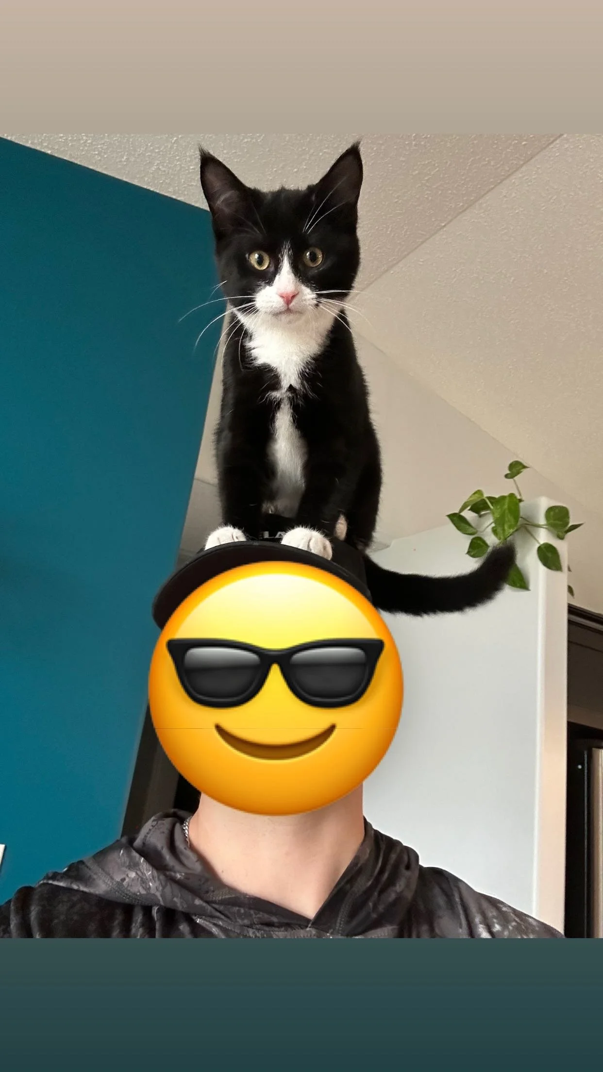 r and m 5.jpg