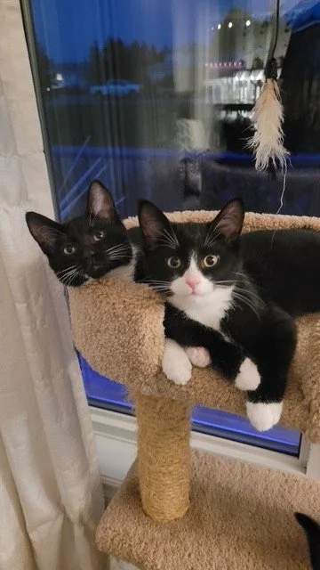 Meadow & Ranger - Perfectly Balanced Pair