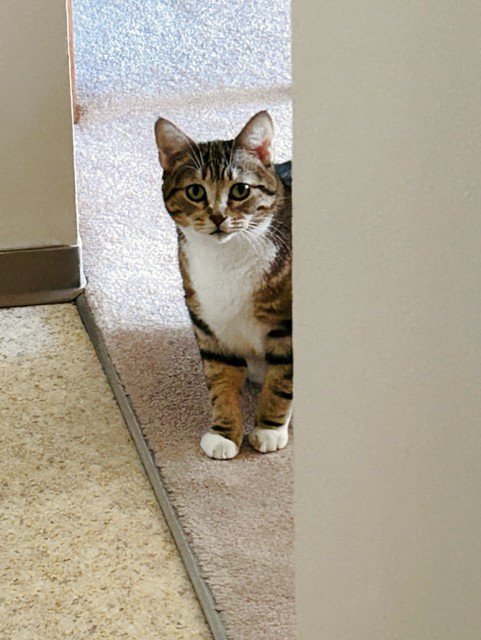 thumbnail_IMG_1903.jpg