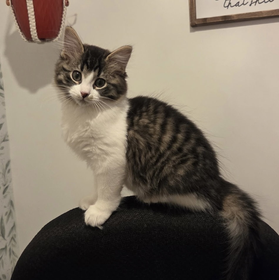 Colours - Big on Personality and Confidence