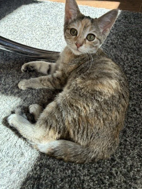 sara3.jpg