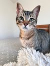 thumbnail_IMG_2268.jpg