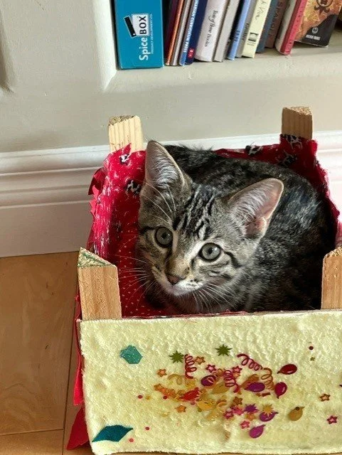 tigger9.jpg