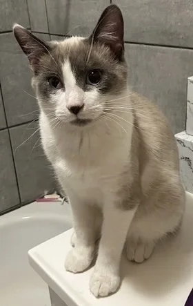 lani1.jpg