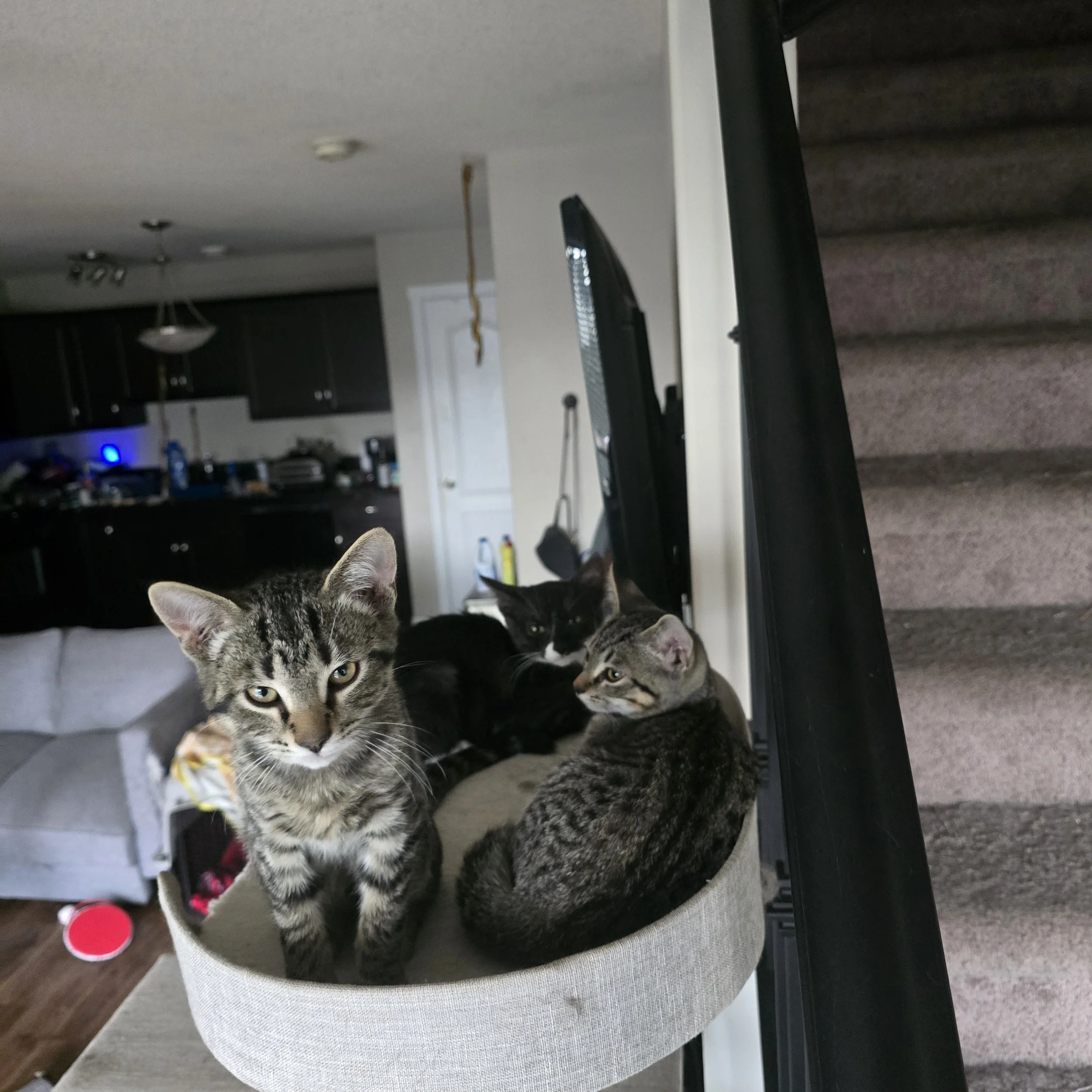 IMG_0454.jpeg