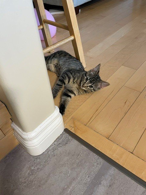 tigger7.jpg