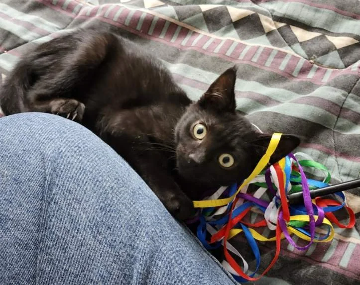 Rumpelstilskin - Total Heart-Stealer