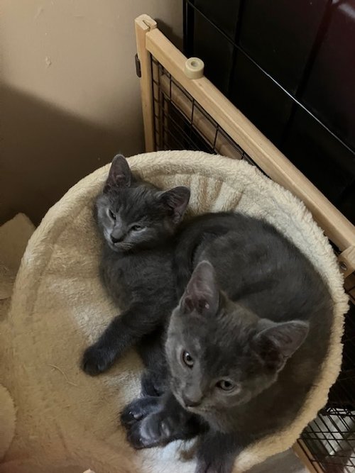 image17.jpeg