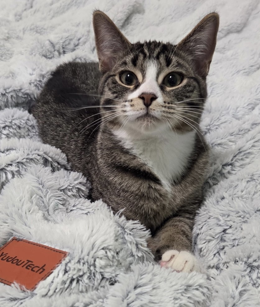 Cory Carson - Sweet and Lowkey