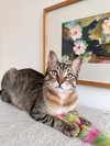 thumbnail_IMG_2443.jpg