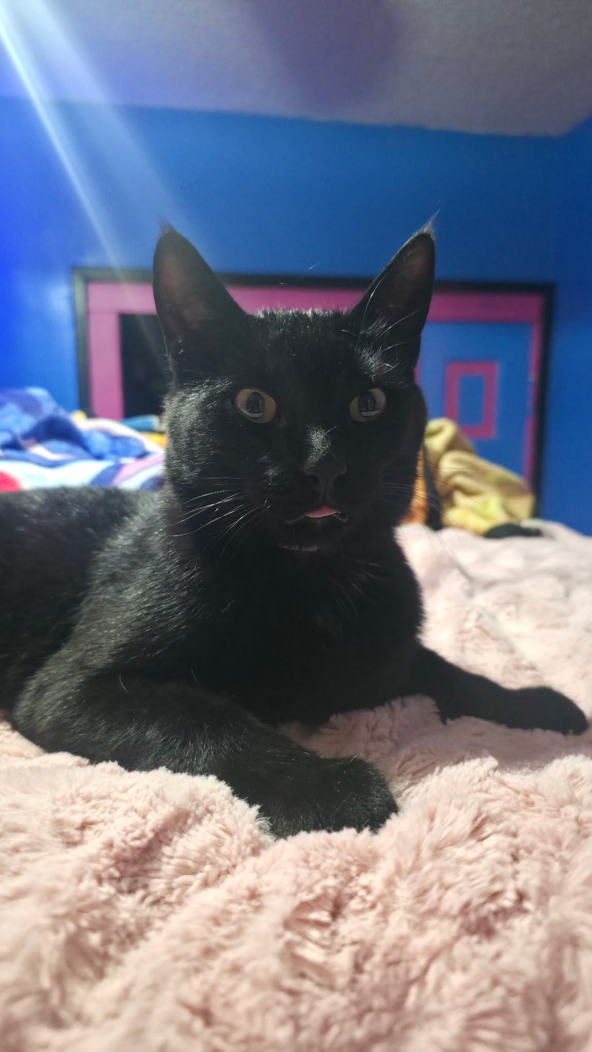 coco1.jpg