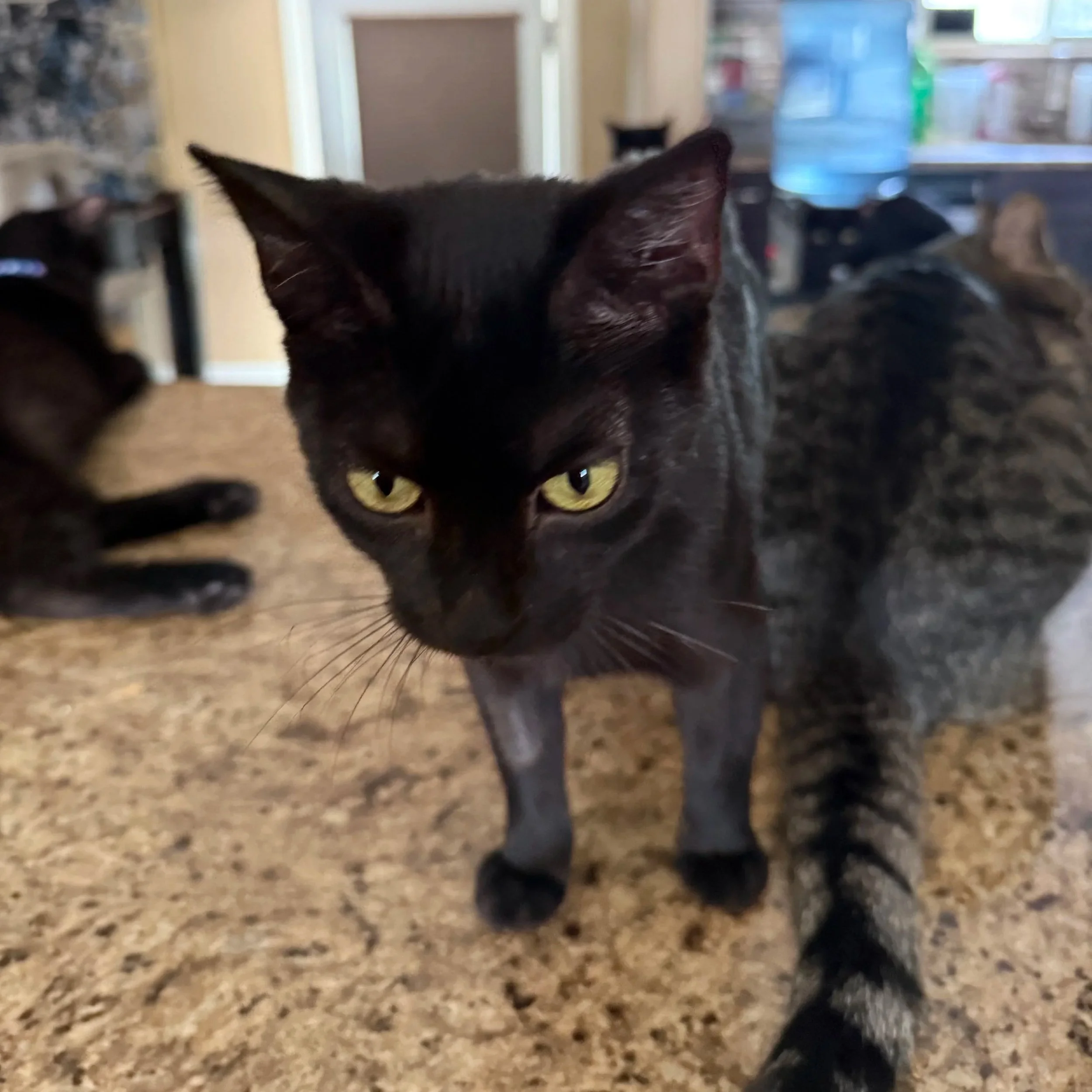 Elvira - Petite, Loving & Sweet