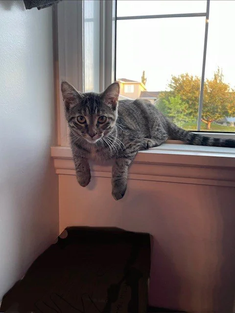 tigger2.jpg