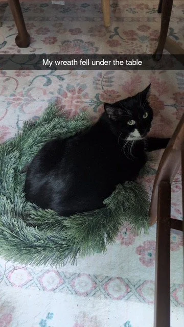olive1.jpg
