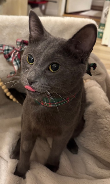 Obie1.png