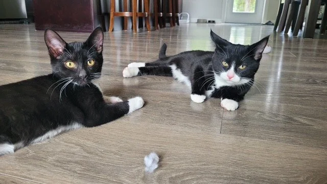 r and m 9.jpg