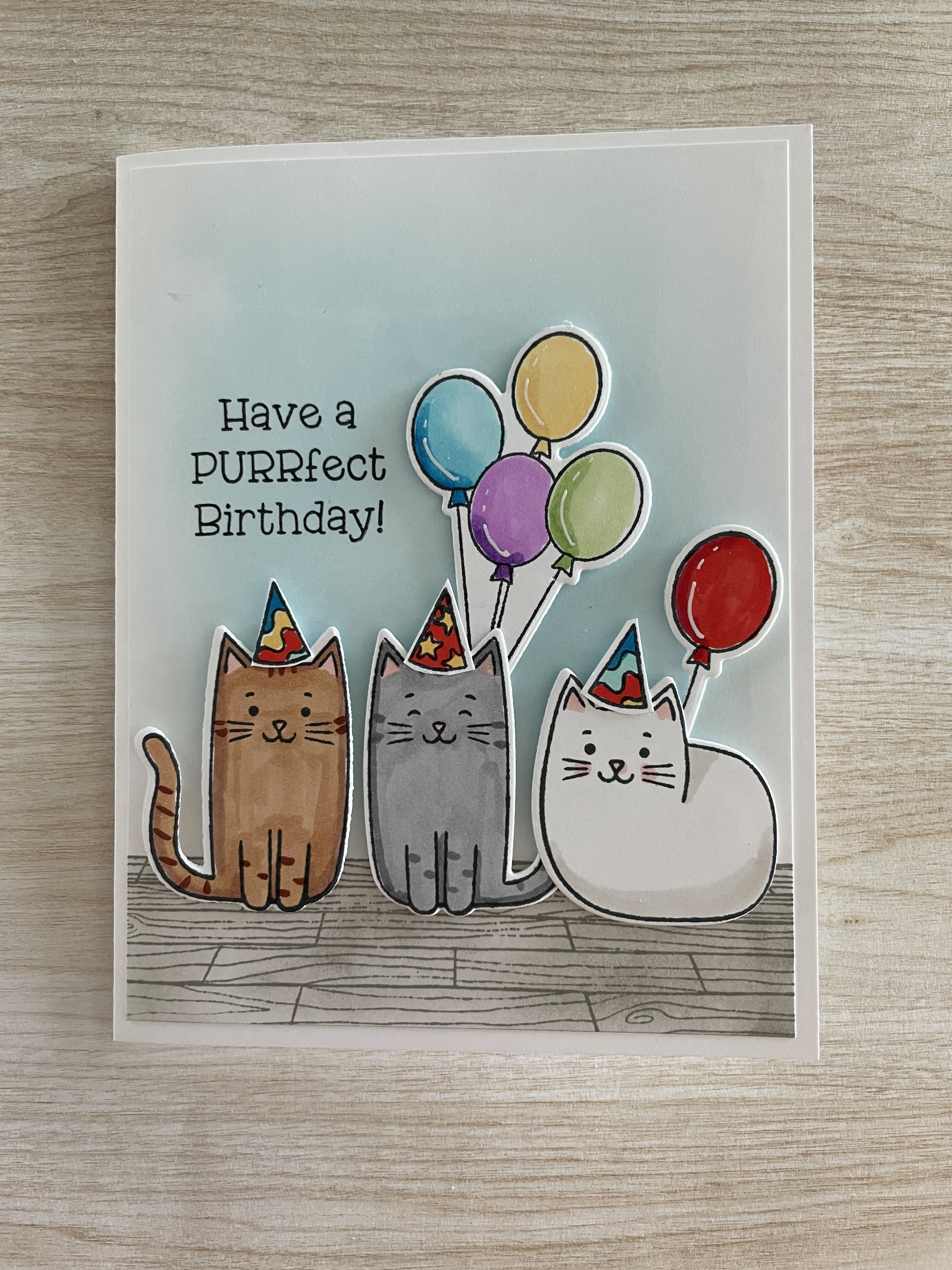 Purrfect Birthday Wood Floor.jpg