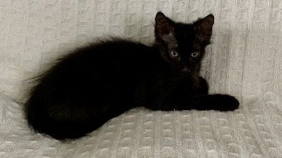 IMG_5217.jpeg
