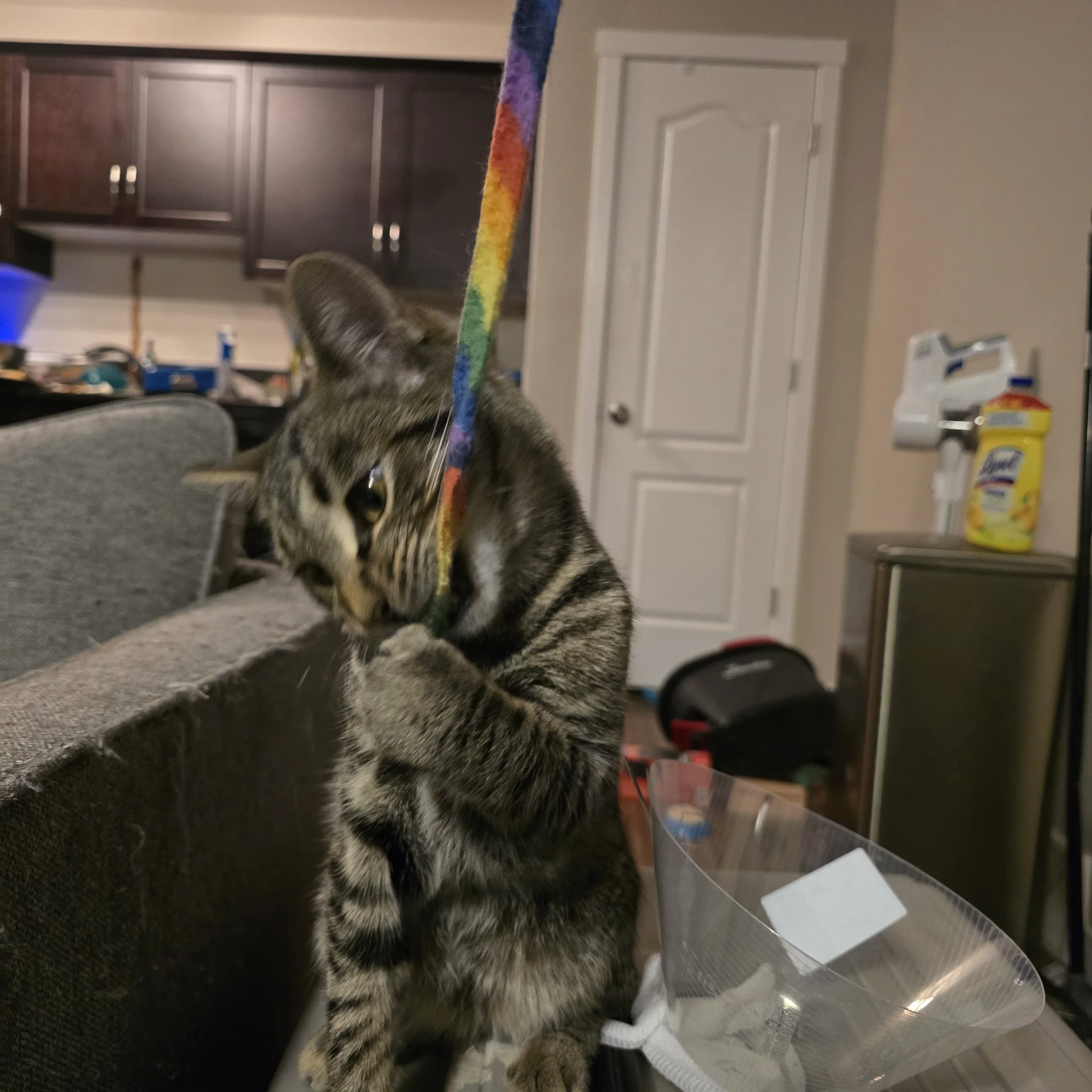 IMG_0456.jpeg