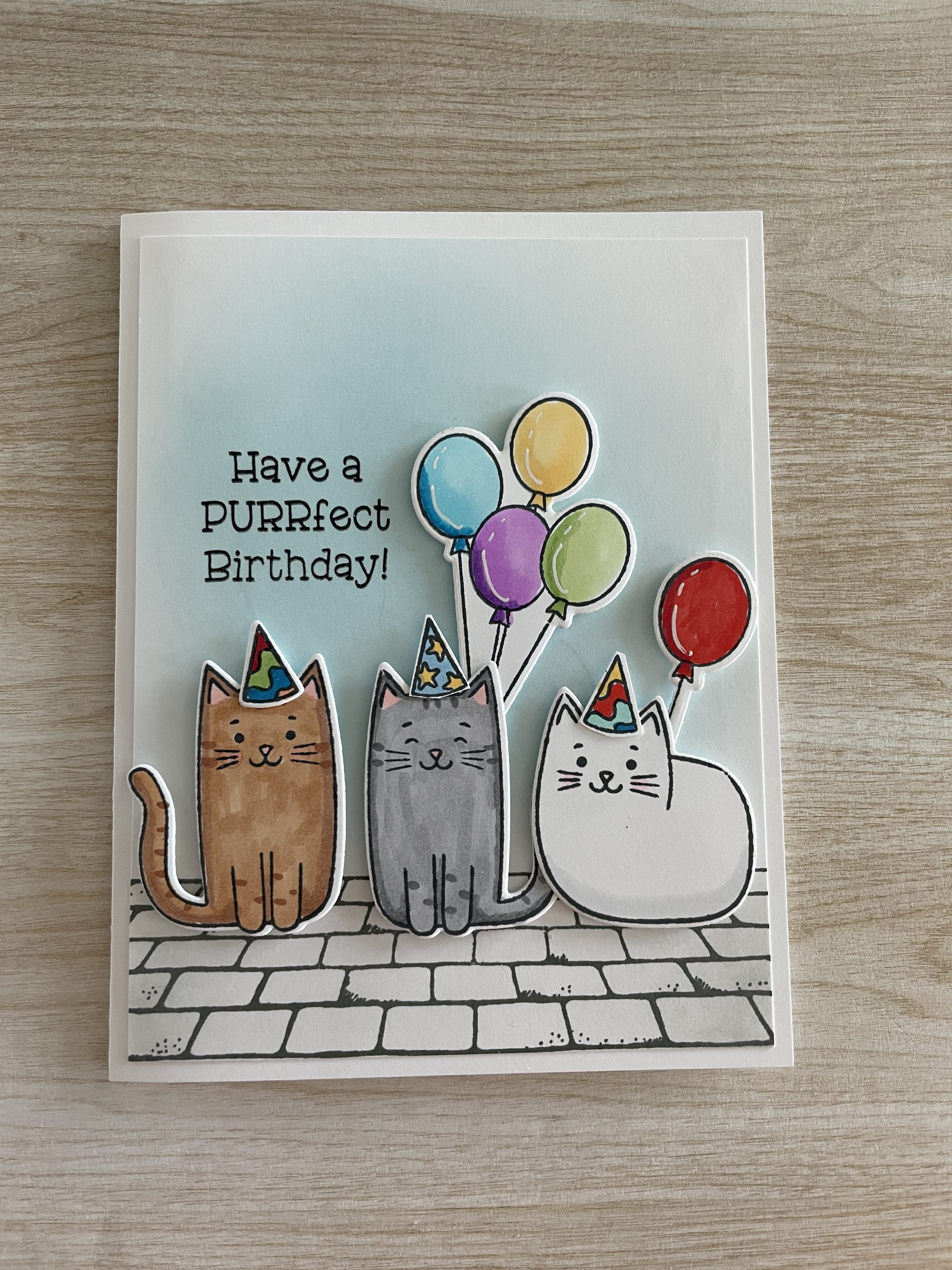 Purrfect Birthday Stone Floor.jpg