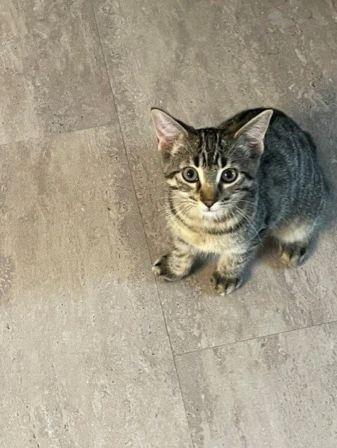 tigger10.jpg