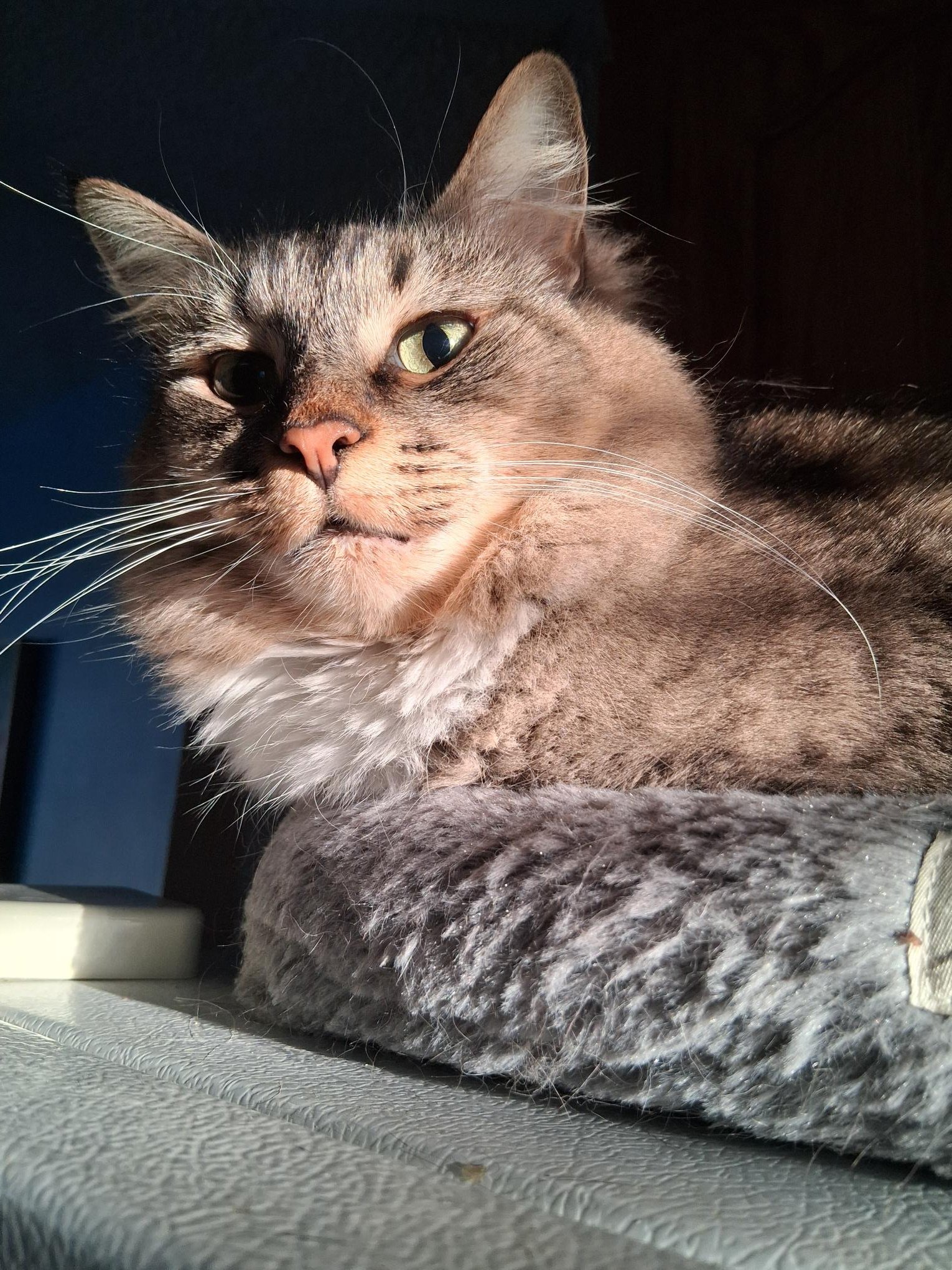Simon2.jpg