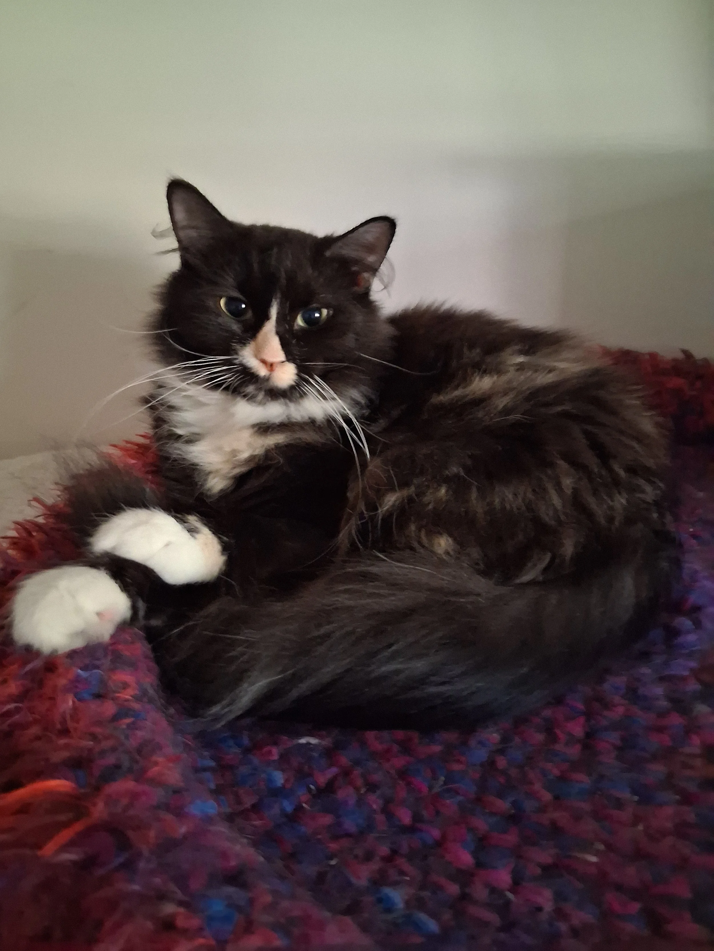 Marci - Sweet, Playful & Nurturing