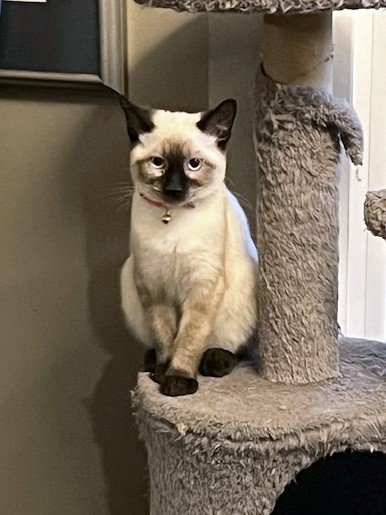 Marilyn