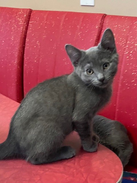 image15.jpeg