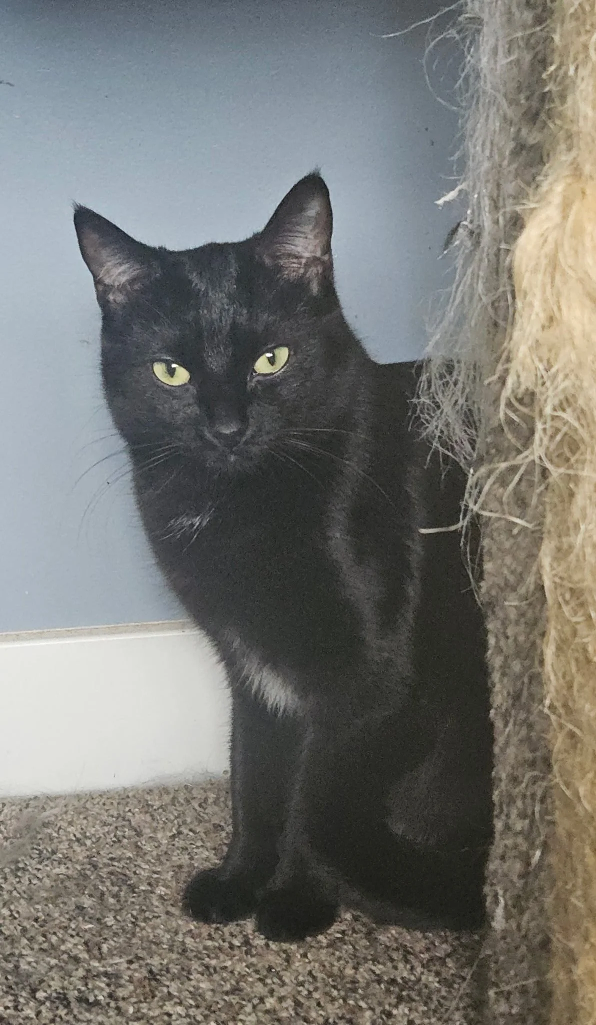 Ruthie - Shy, Sweet & Playful