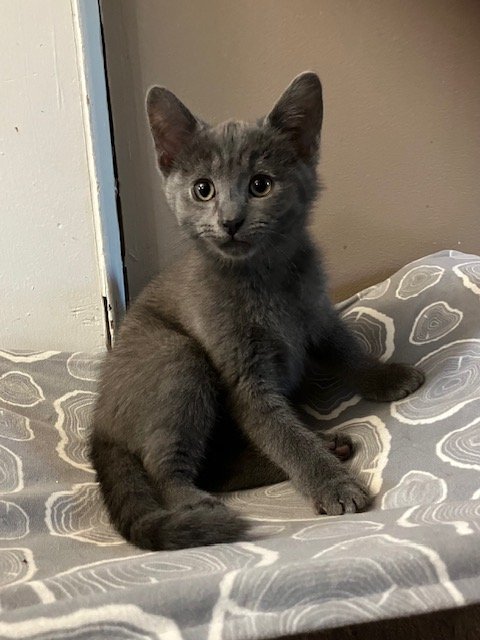 image11.jpeg