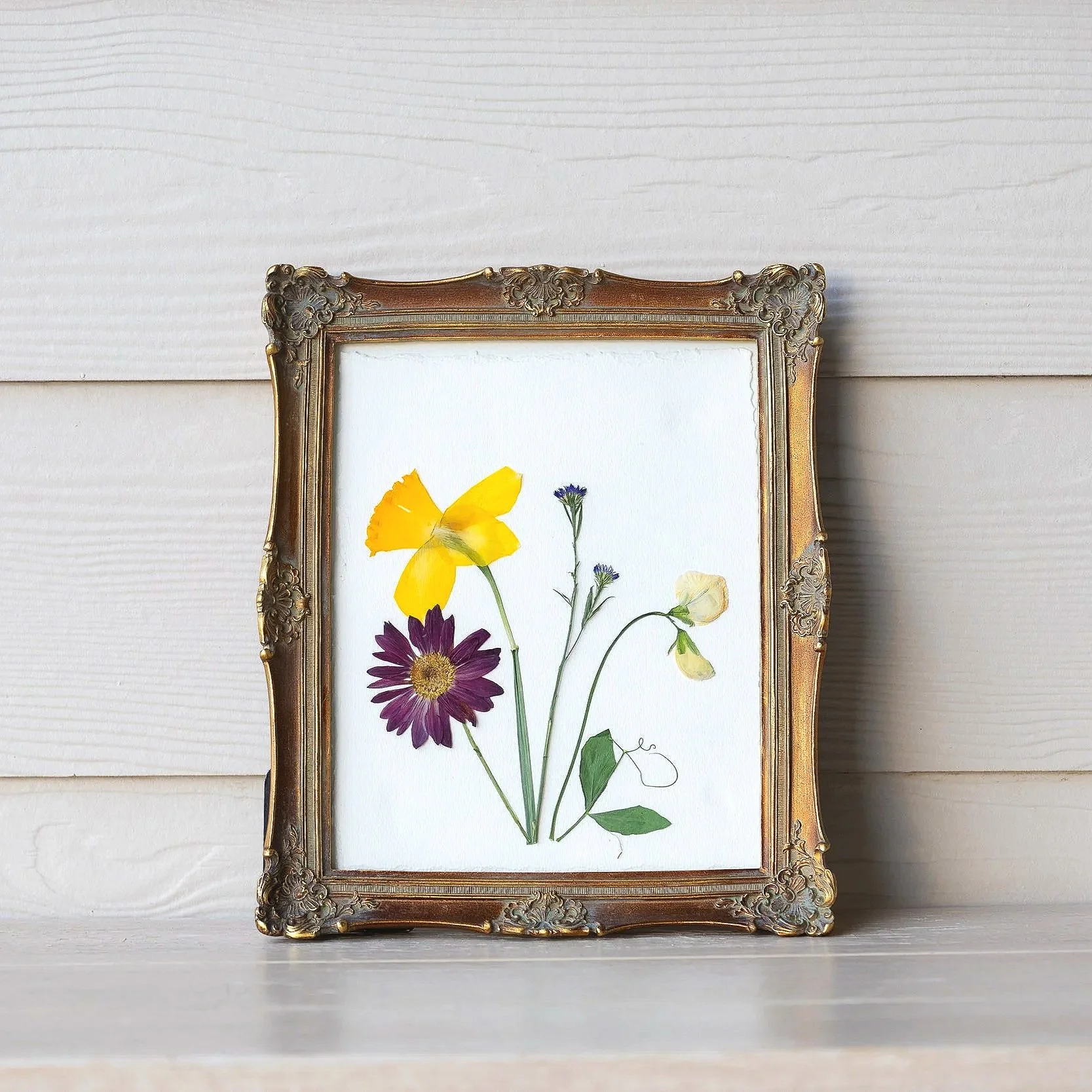 8 x 10 Birth Flower Collage