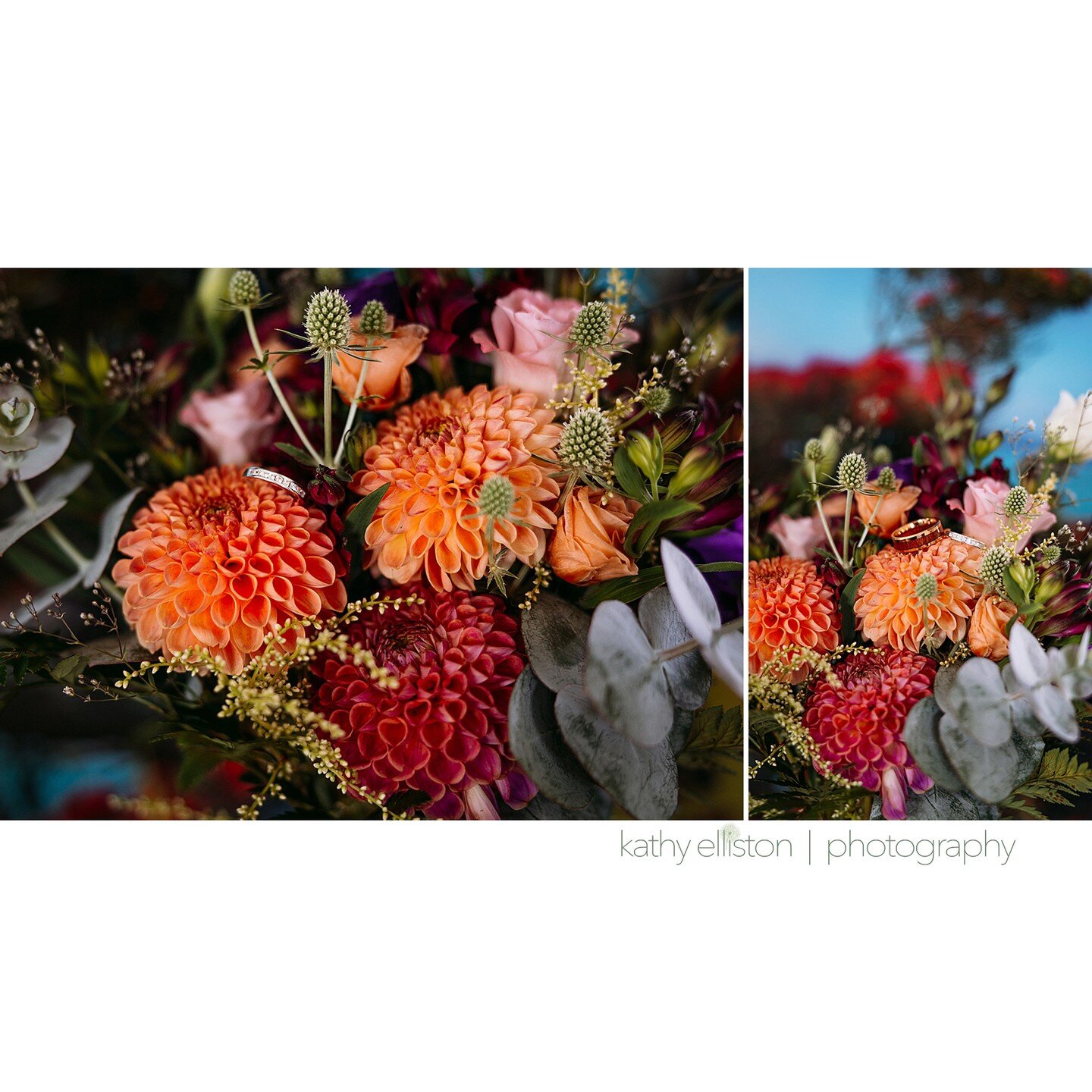 A few highlights from Alannah and Charlies Wedding Day in Kerikeri

Vendors
Kathy Elliston Photography
Jess Burges Photographer
Faiawa Farm
Heather Sorensen - Celebrant
Cake In The Box
Katy Jane Makeup Artist
Neat Eats
Phillipa's hair retreat
Band - 