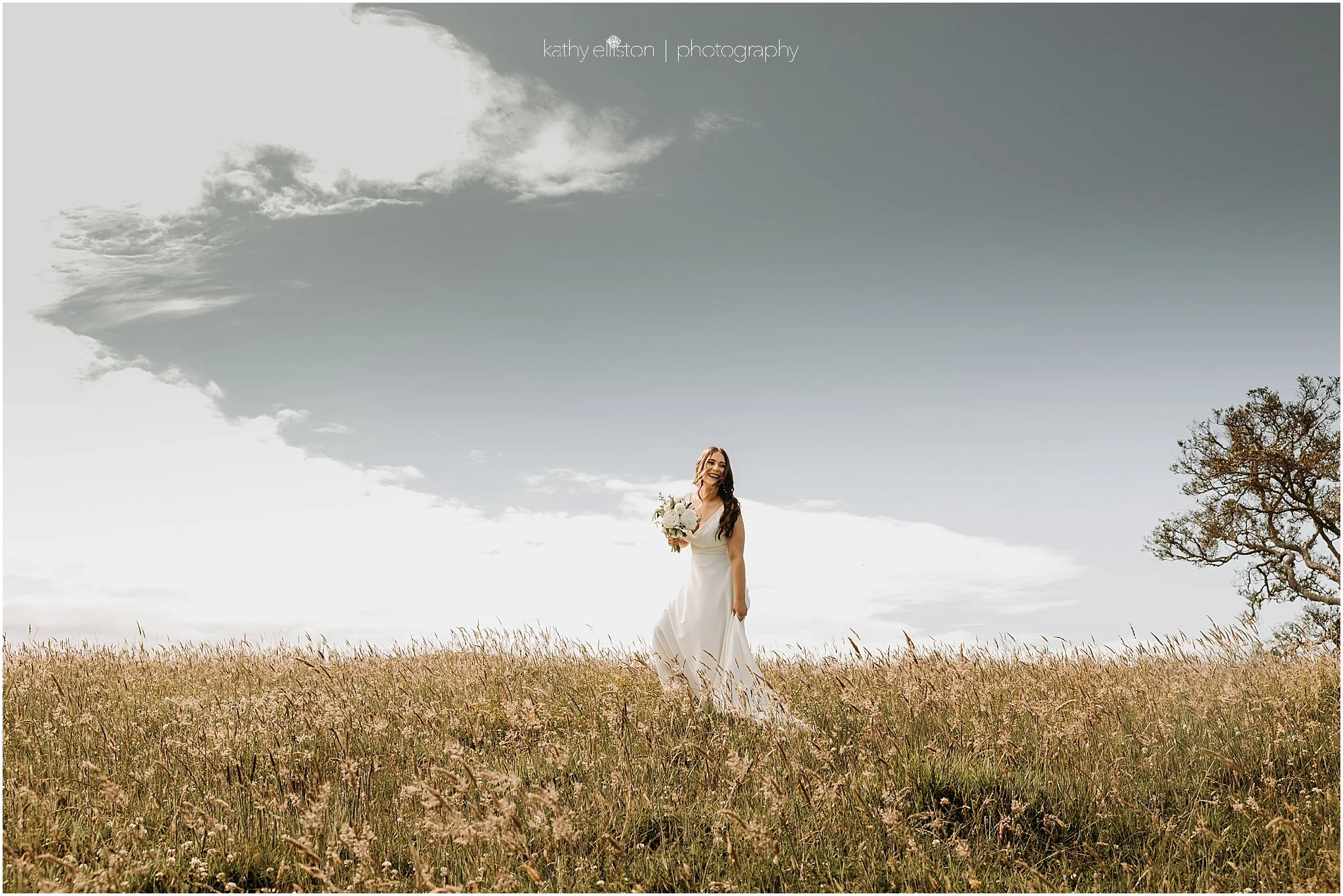 Bay of Islands Wedding