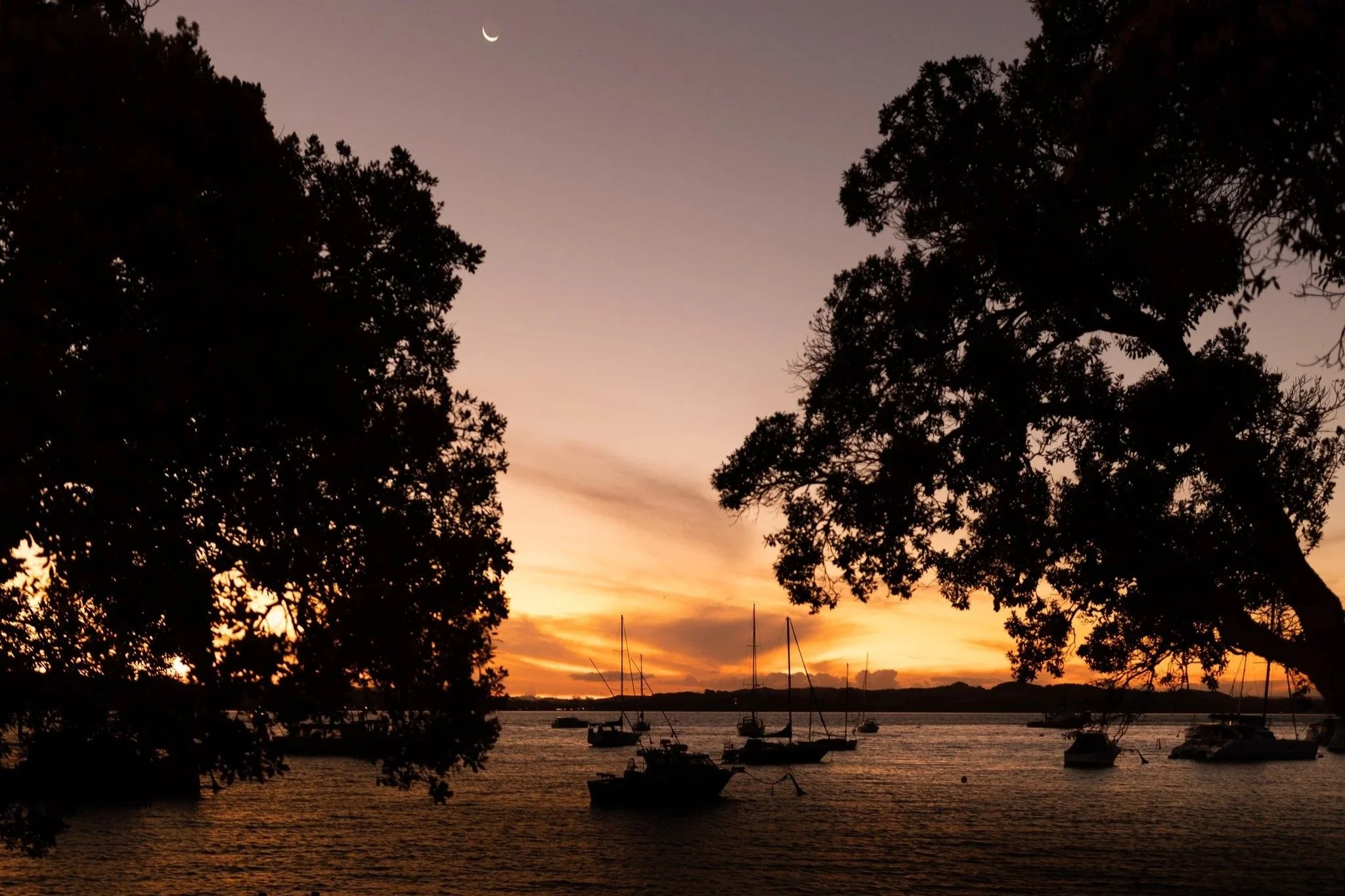 Wedding photo in Russell.jpg