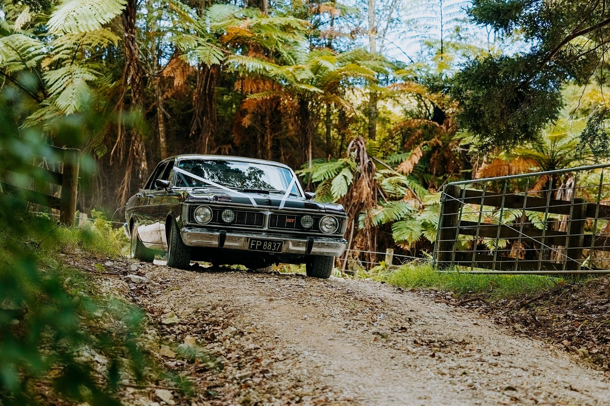 Willow Ranch in Kerikeri