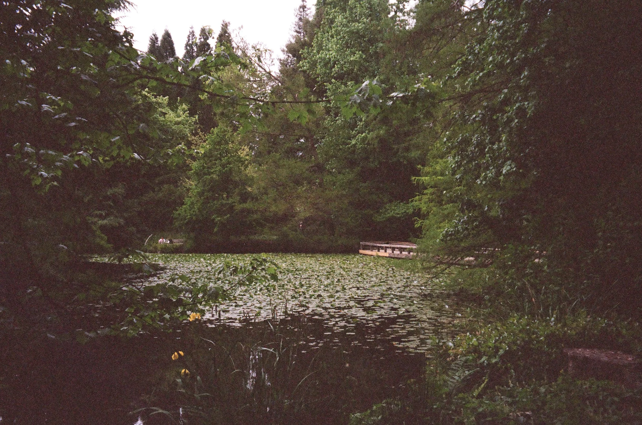 000433330008.jpg